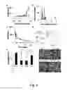 Fig. 07 - Compounds and methods of use thereof for treating neurodegenerative disorders