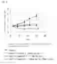 Fig. 08 - Antitumor effect potentiator composed of imidazooxazine compound