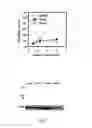 Fig. 03 - ANTIVIRAL COMPOUNDS AND METHODS OF USE