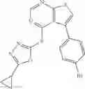 Fig. 25 - ANTIVIRAL COMPOUNDS AND METHODS OF USE