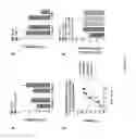 Fig. 06 - ROFLUMILAST COMPOSITIONS FOR THE TREATMENT OF COPD