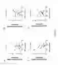 Fig. 12 - ROFLUMILAST COMPOSITIONS FOR THE TREATMENT OF COPD