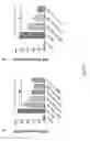 Fig. 16 - ROFLUMILAST COMPOSITIONS FOR THE TREATMENT OF COPD