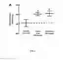 Fig. 02 - Tomatidine, analogs thereof, compositions comprising same, and uses for same