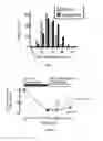 Fig. 06 - Tomatidine, analogs thereof, compositions comprising same, and uses for same