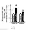 Fig. 10 - Tomatidine, analogs thereof, compositions comprising same, and uses for same