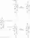Fig. 25 - Tomatidine, analogs thereof, compositions comprising same, and uses for same
