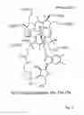 Fig. 04 - PHARMACEUTICAL COMPOSITION FOR THE REGENERATION OF THE LIVER