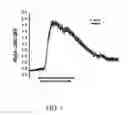 Fig. 02 - Compositions That Include Anthocyanidins and Methods of Use