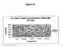 Fig. 45 - Methods and compositions for the inhibition of gene expression