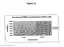 Fig. 46 - Methods and compositions for the inhibition of gene expression