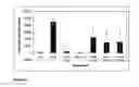 Fig. 13 - NOVEL ADULT PROGENITOR CELL