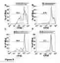 Fig. 10 - Enhanced reconstitution and autoreconstitution of the hematopoietic compartment