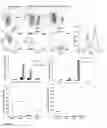 Fig. 18 - Enhanced reconstitution and autoreconstitution of the hematopoietic compartment