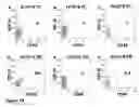 Fig. 19 - Enhanced reconstitution and autoreconstitution of the hematopoietic compartment