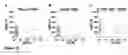 Fig. 24 - Enhanced reconstitution and autoreconstitution of the hematopoietic compartment