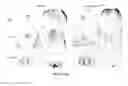 Fig. 06 - CONVERSION OF CARDIOMYOCYTES INTO FAST CONDUCTING CARDIOMYOCYTES OR SLOW CONDUCTING NODAL CELLS