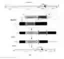 Fig. 08 - CONVERSION OF CARDIOMYOCYTES INTO FAST CONDUCTING CARDIOMYOCYTES OR SLOW CONDUCTING NODAL CELLS