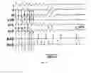 Fig. 18 - CONVERSION OF CARDIOMYOCYTES INTO FAST CONDUCTING CARDIOMYOCYTES OR SLOW CONDUCTING NODAL CELLS
