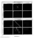 Fig. 22 - CONVERSION OF CARDIOMYOCYTES INTO FAST CONDUCTING CARDIOMYOCYTES OR SLOW CONDUCTING NODAL CELLS