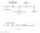 Fig. 37 - CONVERSION OF CARDIOMYOCYTES INTO FAST CONDUCTING CARDIOMYOCYTES OR SLOW CONDUCTING NODAL CELLS