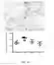 Fig. 13 - Method and compositions for treating cancer using probiotics