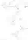 Fig. 24 - IAP antagonists