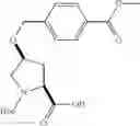 Fig. 48 - IAP antagonists