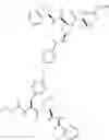 Fig. 67 - IAP antagonists