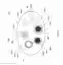 Fig. 07 - COMPOSITION AND METHOD FOR INHIBITING, PREVENTING, OR AMELIORATING COMPLICATIONS ASSOCIATED WITH INGESTION OF A MEDICINAL, CHEMICAL, OR BIOLOGICAL SUBSTANCE OR AGENT