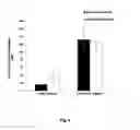 Fig. 04 - Colicins for Treating Bacterial Infections