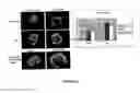 Fig. 03 - Methods and compositions for promoting organ growth and development