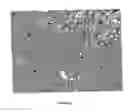 Fig. 04 - Methods and compositions for promoting organ growth and development