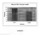 Fig. 07 - Methods and compositions for promoting organ growth and development