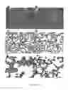 Fig. 10 - Methods and compositions for promoting organ growth and development