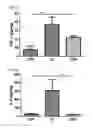 Fig. 05 - Pharmaceutical composition having preventative or treatment effect on inflammatory bowel diseases