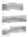 Fig. 02 - Bone regeneration agent including gelatin