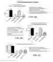 Fig. 06 - Method for treating amyloid disease