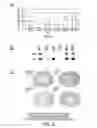 Fig. 03 - Combinations of gene deletions for live attenuated shigella vaccine strains