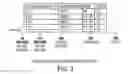 Fig. 04 - Combinations of gene deletions for live attenuated shigella vaccine strains