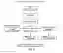 Fig. 09 - Combinations of gene deletions for live attenuated shigella vaccine strains