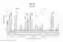 Fig. 19 - Saccharide Conjugate Vaccines