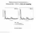 Fig. 08 - Micromolded or 3-D printed pulsatile release vaccine formulations