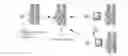 Fig. 01 - Singlet oxygen-labile linkers and methods of production and use thereof