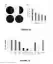Fig. 13 - Singlet oxygen-labile linkers and methods of production and use thereof