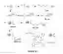 Fig. 15 - Singlet oxygen-labile linkers and methods of production and use thereof