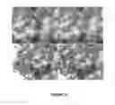 Fig. 16 - Singlet oxygen-labile linkers and methods of production and use thereof