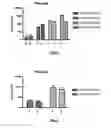 Fig. 02 - Biodegradable compositions suitable for controlled release