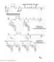 Fig. 02 - CYCLODEXTRIN-BASED POLYMERS FOR DELIVERING THE THERAPEUTIC AGENTS COVALENTLY BOUND THERETO