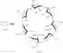 Fig. 33 - CYCLODEXTRIN-BASED POLYMERS FOR DELIVERING THE THERAPEUTIC AGENTS COVALENTLY BOUND THERETO